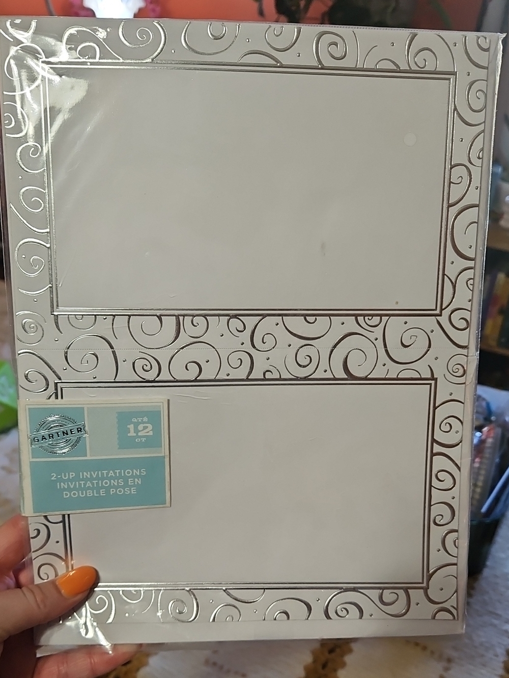 Gartner Studios White Invitations with Silver Swirl Border (10pc)